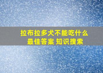 拉布拉多犬不能吃什么 最佳答案 知识搜索